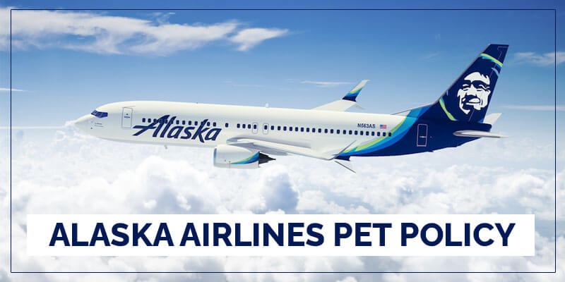 Alaska Airlines Pet Policy