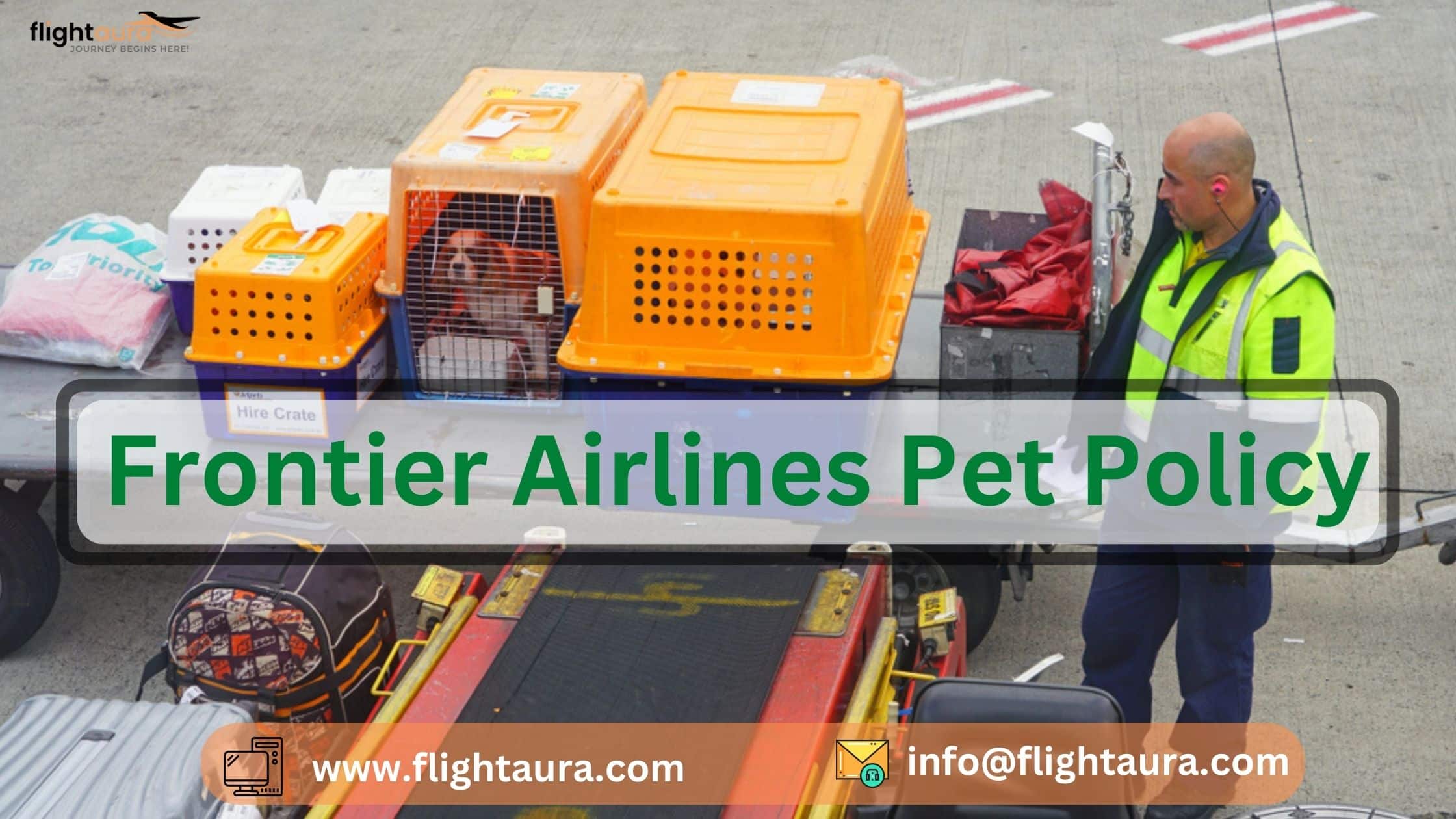 Frontier Airlines Pet Policy