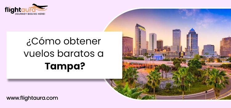 Cómo obtener vuelos baratos a Tampa copy