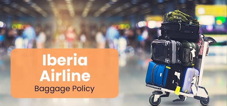 Iberia Airlines Baggage Policy copy