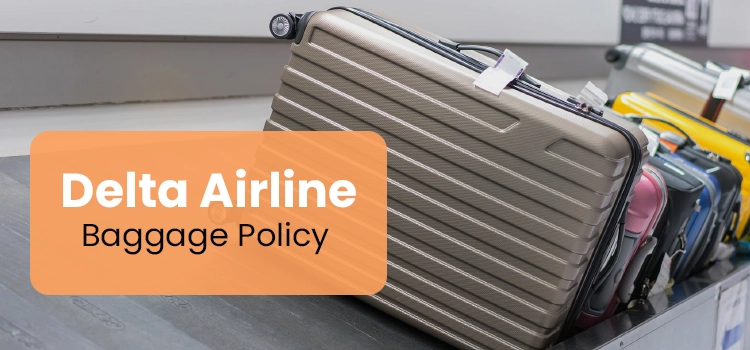 Delta Baggage Policy Flight Aura