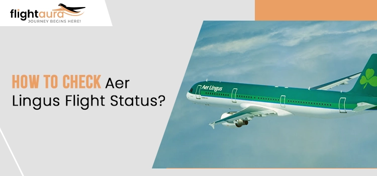 How to Check Aer Lingus Flight Status