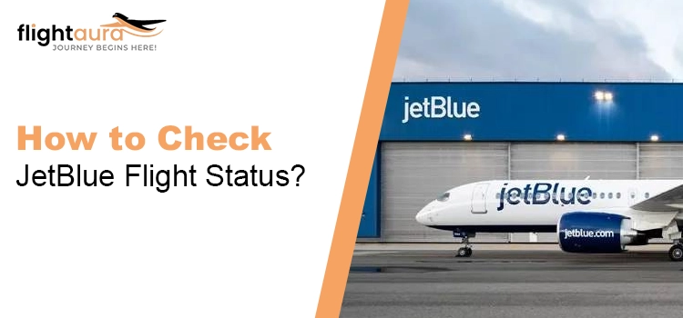 How to Check JetBlue Flight Status