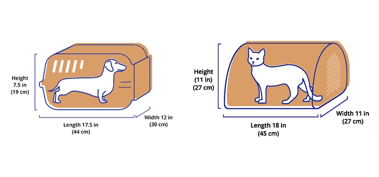 Make sure your pet fits